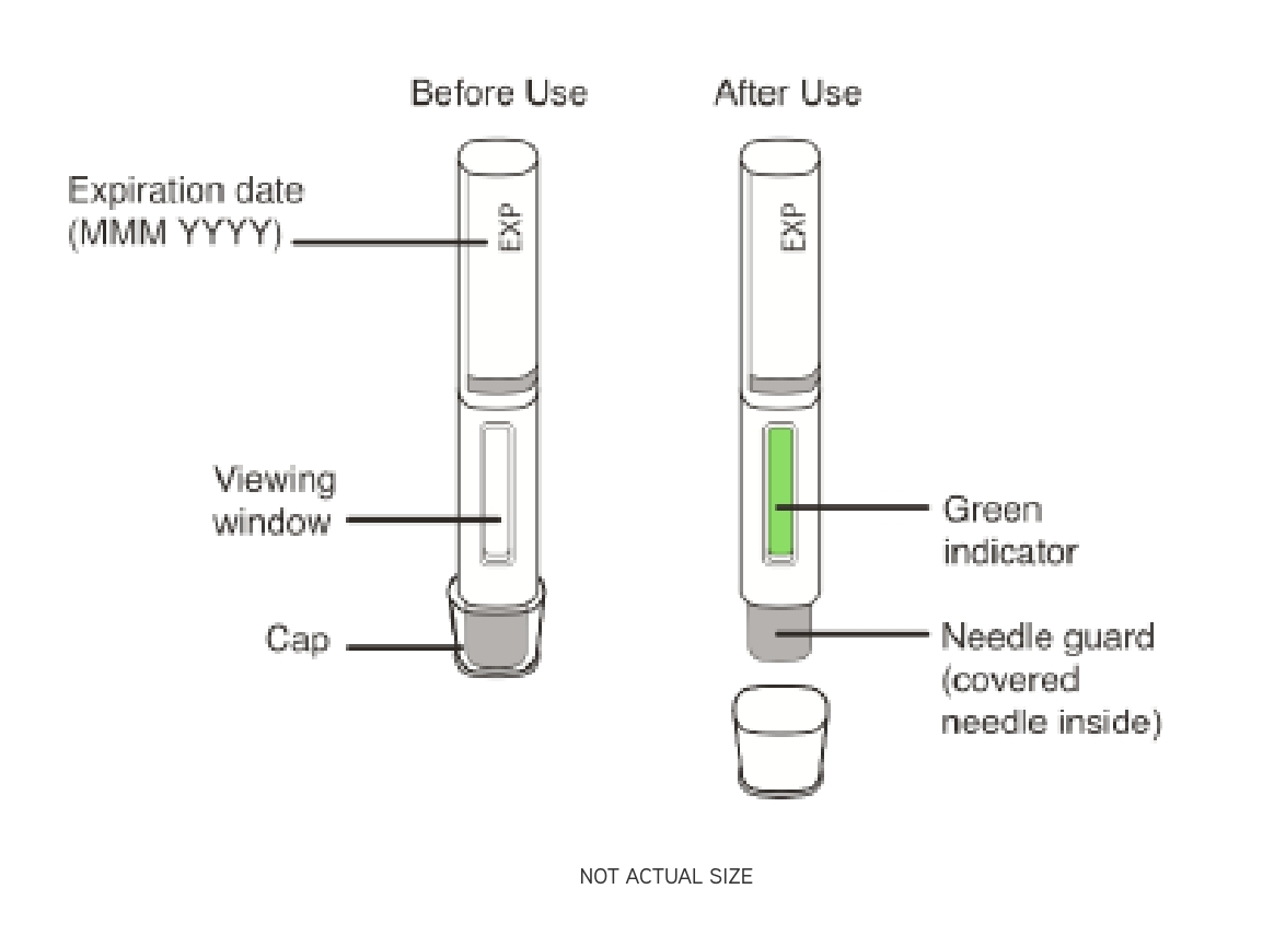 Dosing and Administration | Autoinjector | XOLAIR® (omalizumab)